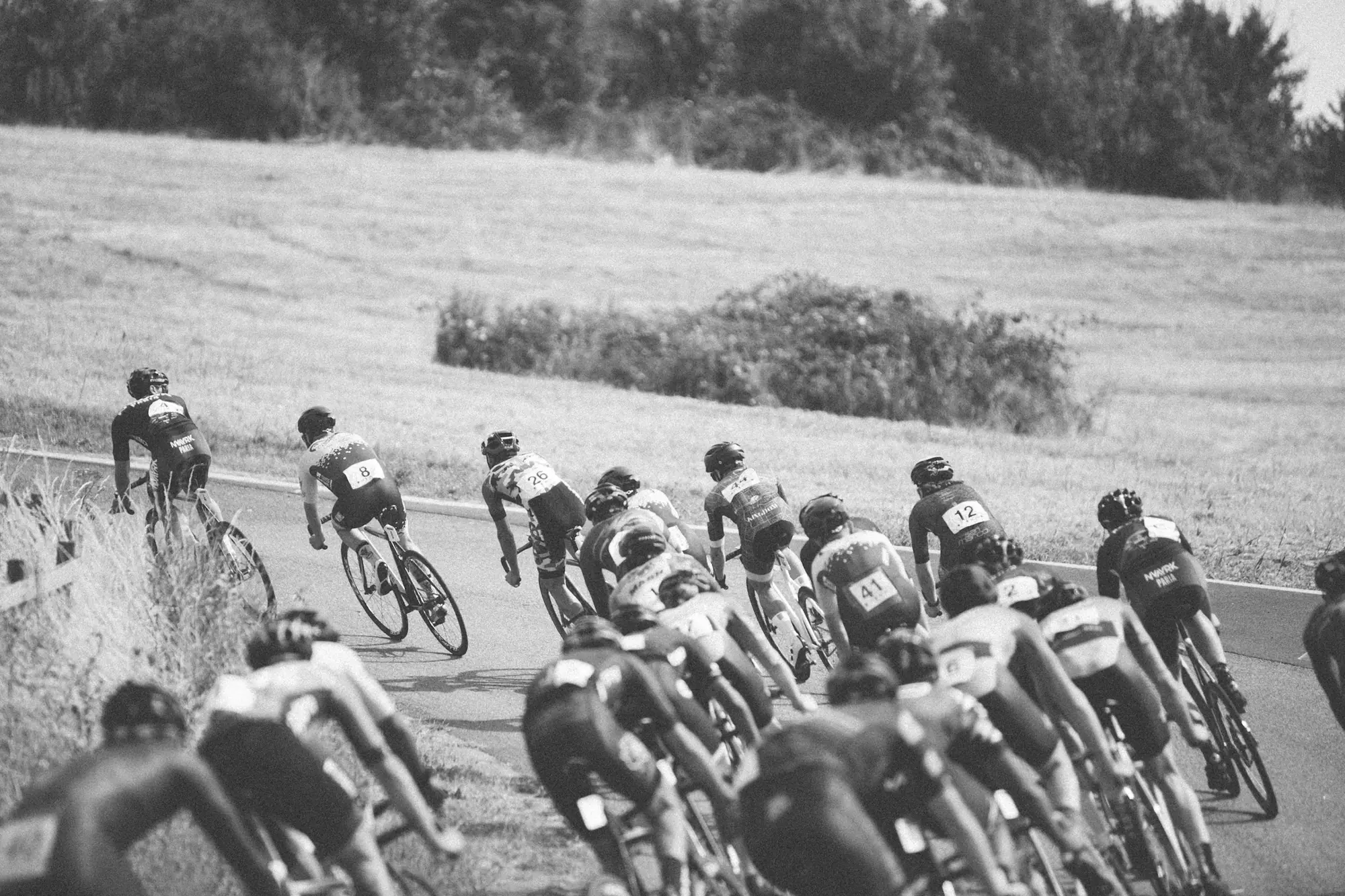 Un peloton vu de dos dans un virage, en noir et blanc.