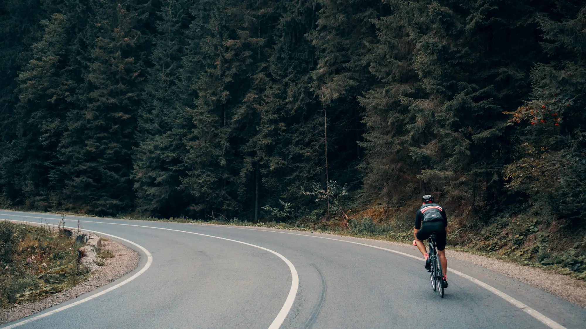 Un coureur de dos dans un virage d’une route de montagne, entre les sapins.